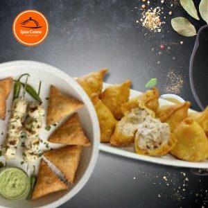 Chicken Malai Boti Samosa